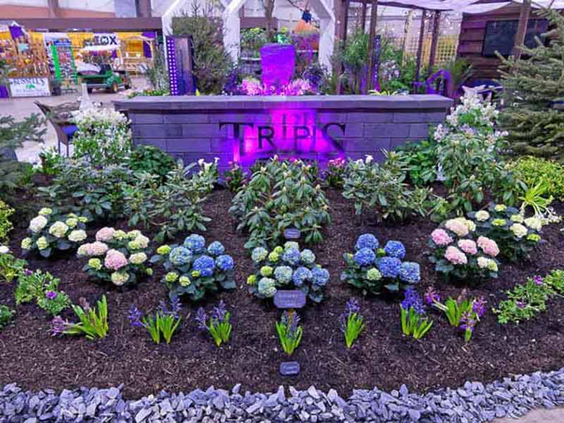 Tripis-Landscaping800